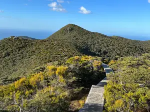 Tuatapere Hump Ridge Track