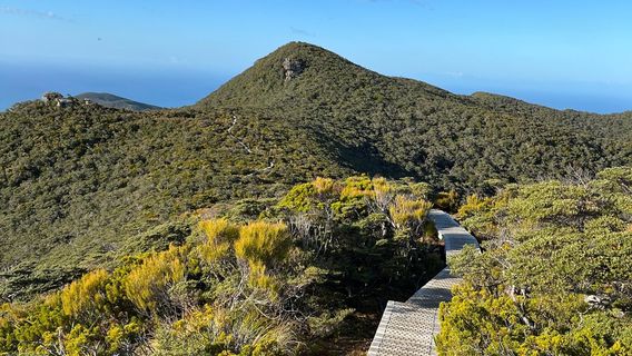 Tuatapere Hump Ridge Track