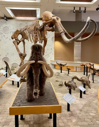 State Historical Museum