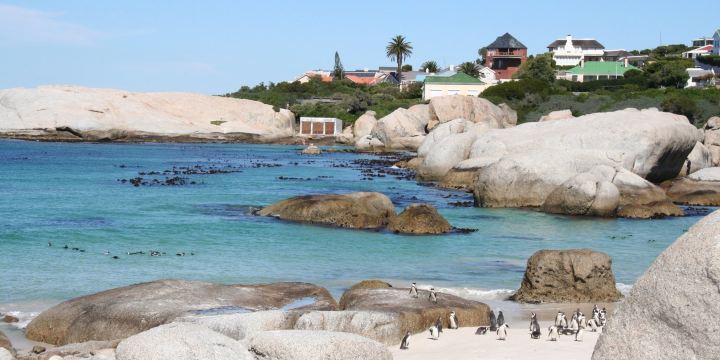Foxy Beach