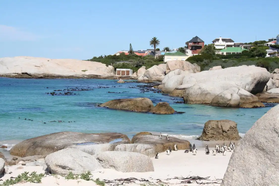 Các khách sạn gần Foxy Beach