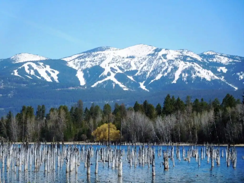Whitefish Lake Golf Club附近的飯店