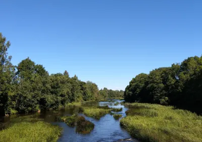 Viljandi Lennukitehas MTÜ