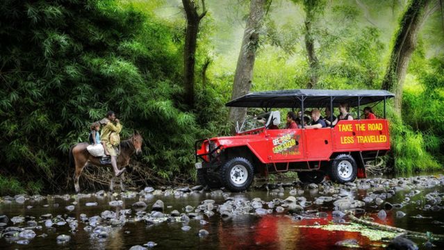 Off-Road Cave Safari