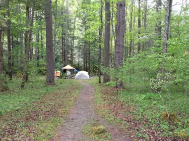 Blue Bend Recreation Area