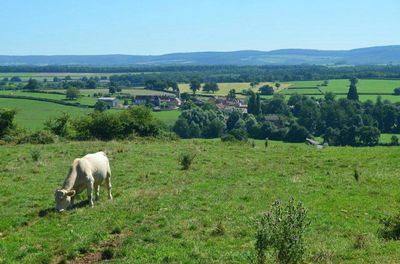 Taizé Community