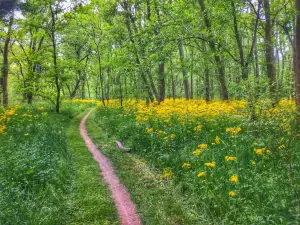 Chickasaw Trace Park