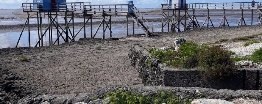 Ile Madame