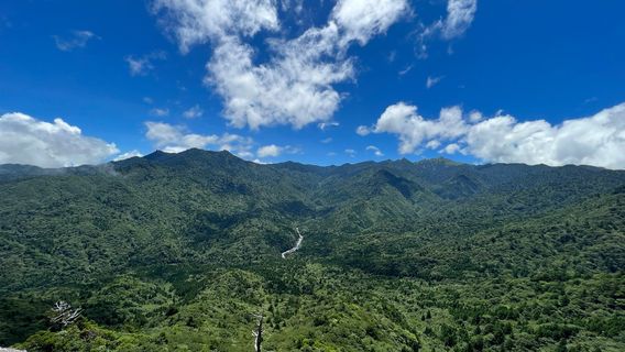 Yakushima