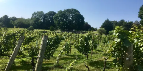 Langworthy Farm Winery