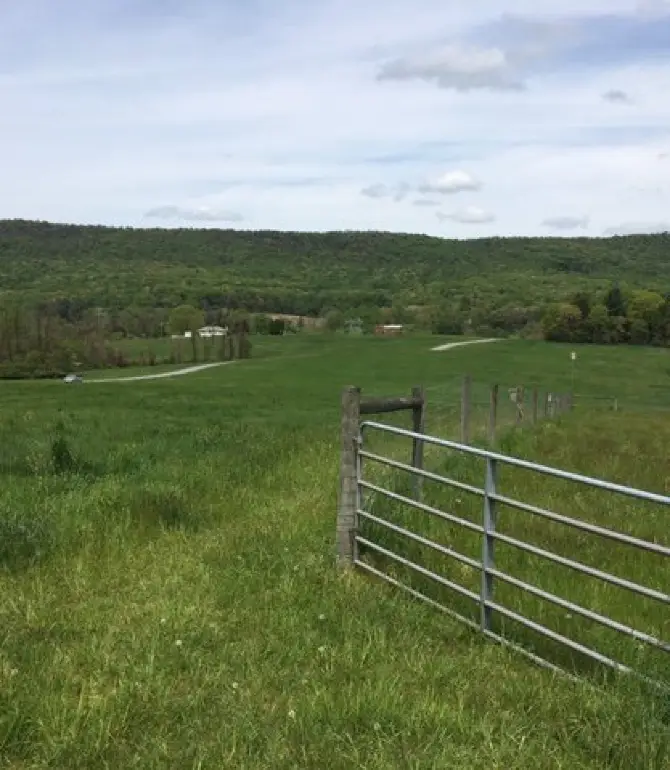 Middle Paxton Township