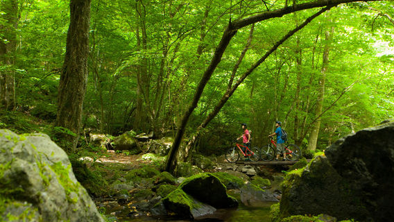 Umezawa Trail