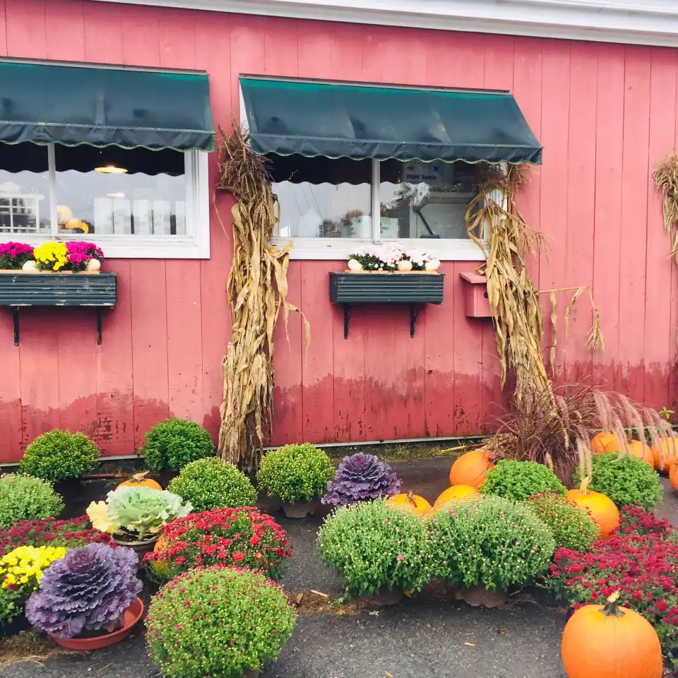 3_Green Mountain Orchards Inc