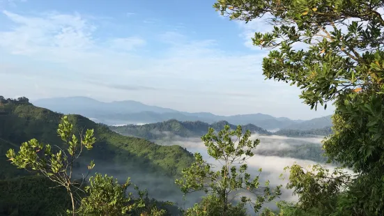 Bukit Panorama Trailhead