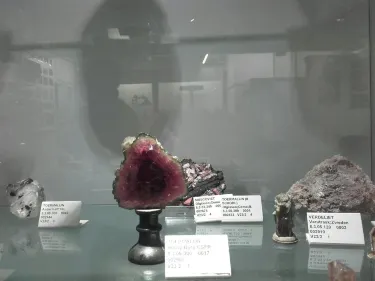 Stichting Gelders Geologisch Museum