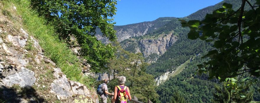 Bisse des Sarasins