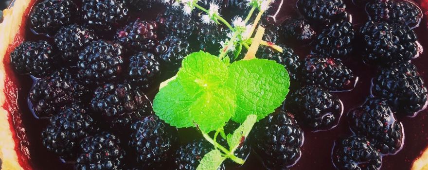 Pattys Berries and Bunches
