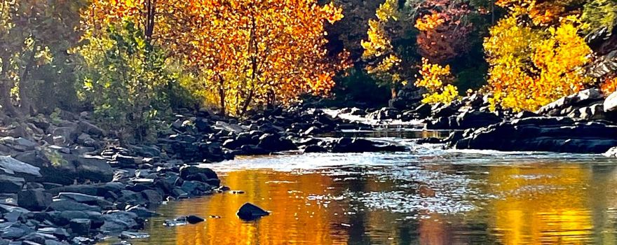 Walkers Creek