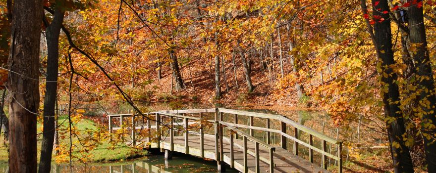 Grand Ledge