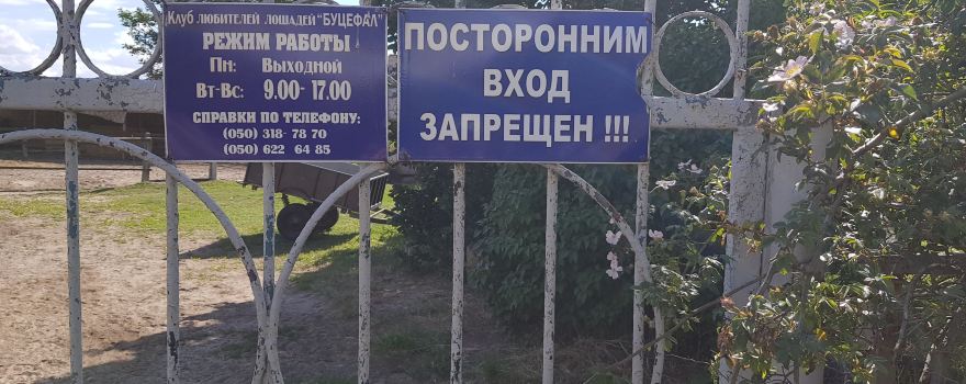 Oleshky