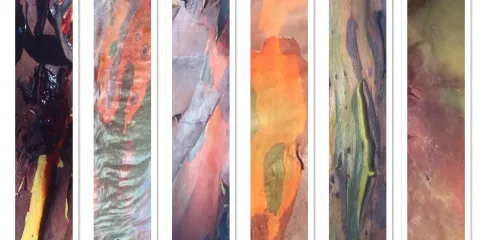 Desert Edge Arts Gallery