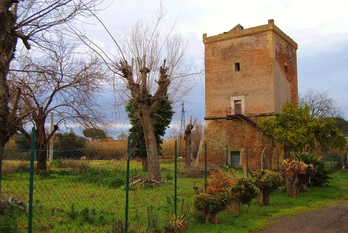 Hotel in zona Torre Niccolina