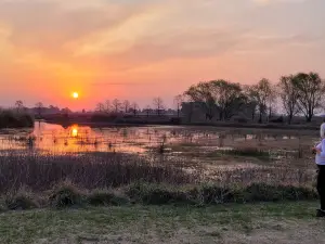 Parque Lagunario Martija Camping