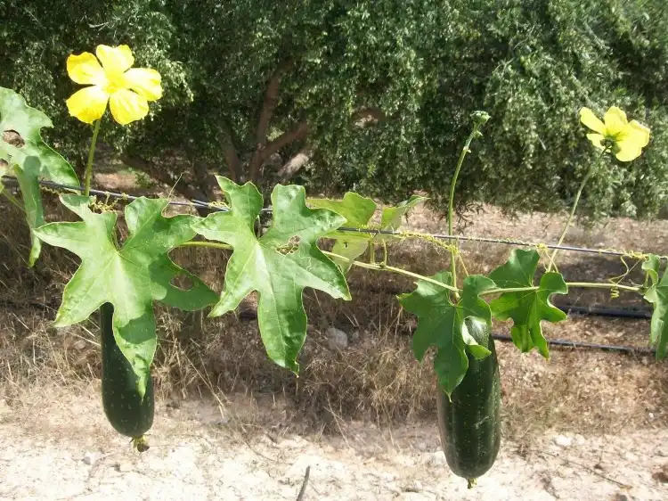 Các khách sạn gần Agrokipos