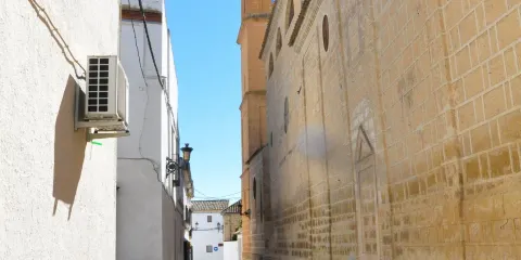 Iglesia de San Carlos El Real