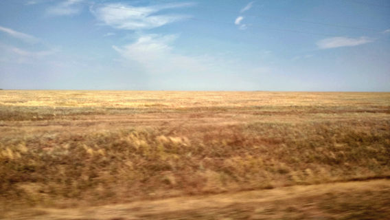 Nature Park Eltonskiy