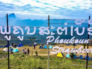 Phoukoun Strawberry Farm