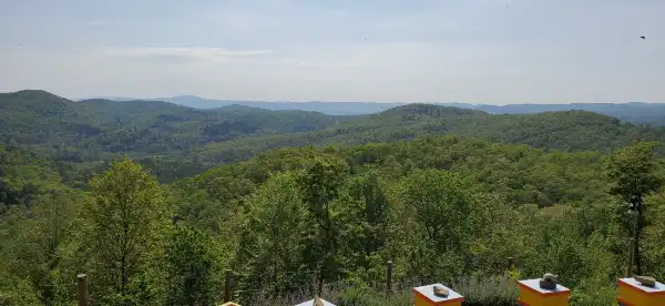 Hotels in Hogback