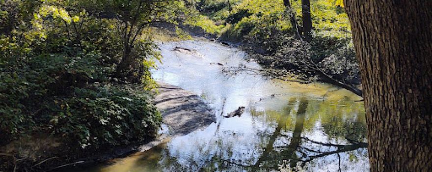 Brownell Woods