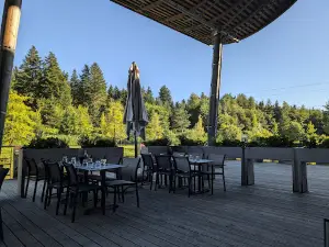Center Parcs Check-In