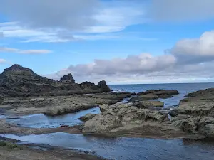 Senjōjiki Coast