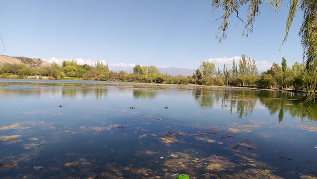 Maipú Club Fishing and Hunting