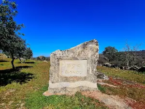 Castle of Vilar Maior