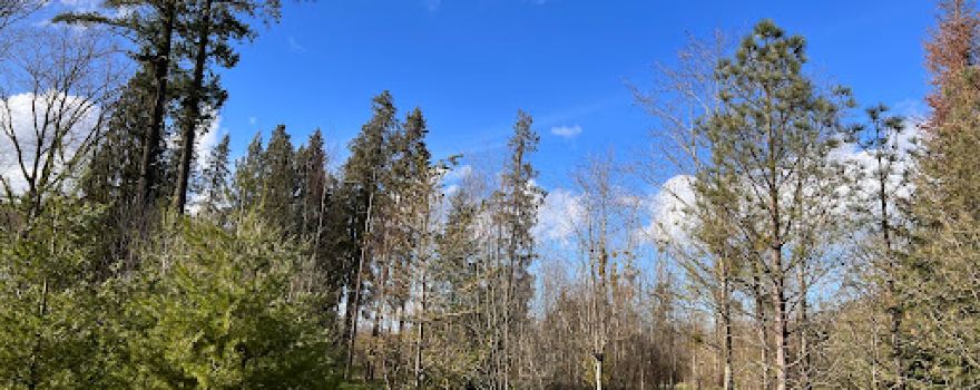 Arboretum d'Amance
