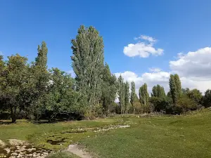 Georgi shirkeyi