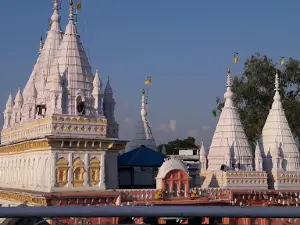 Sri dev parshvanath prachin digambar jain mndir