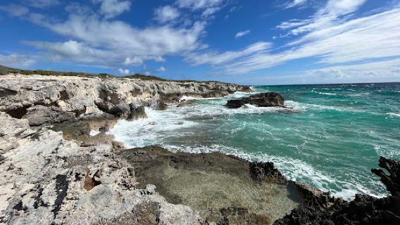 Snow Bay
