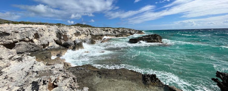 Snow Bay