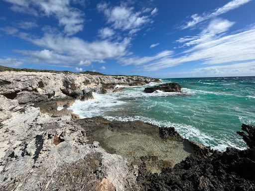 Snow Bay