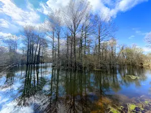 Wapanocca National Wildlife Refuge