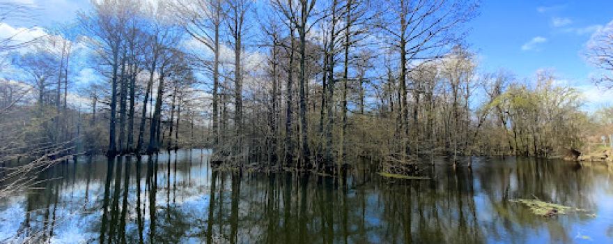 Wapanocca National Wildlife Refuge