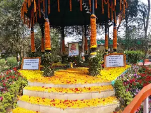 Dada Dadi Nana Nani Park