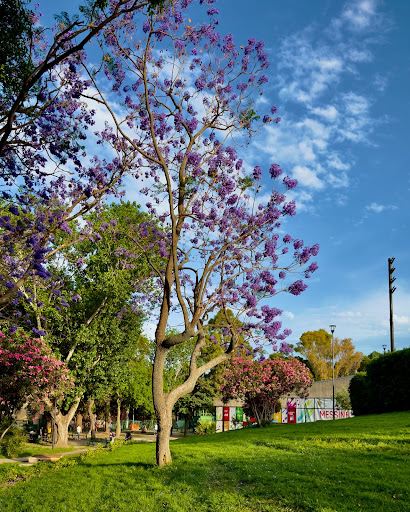 Villa Dante