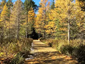 Shannon Lake Hiking Trail