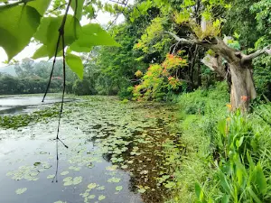 Loukoipat Ecological Park