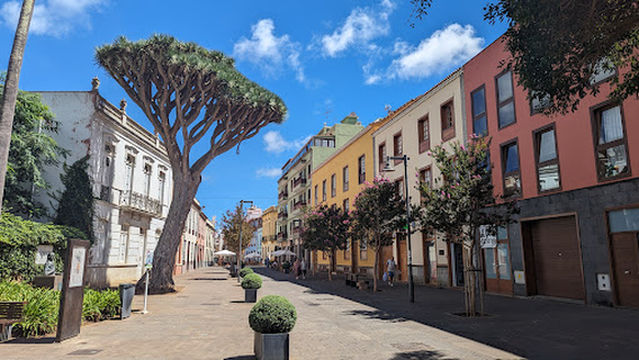 Square of the Supreme Council of the Canaries